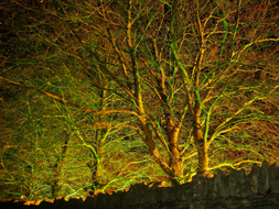 Avon Paranormal Team - The Bear of Rodborough